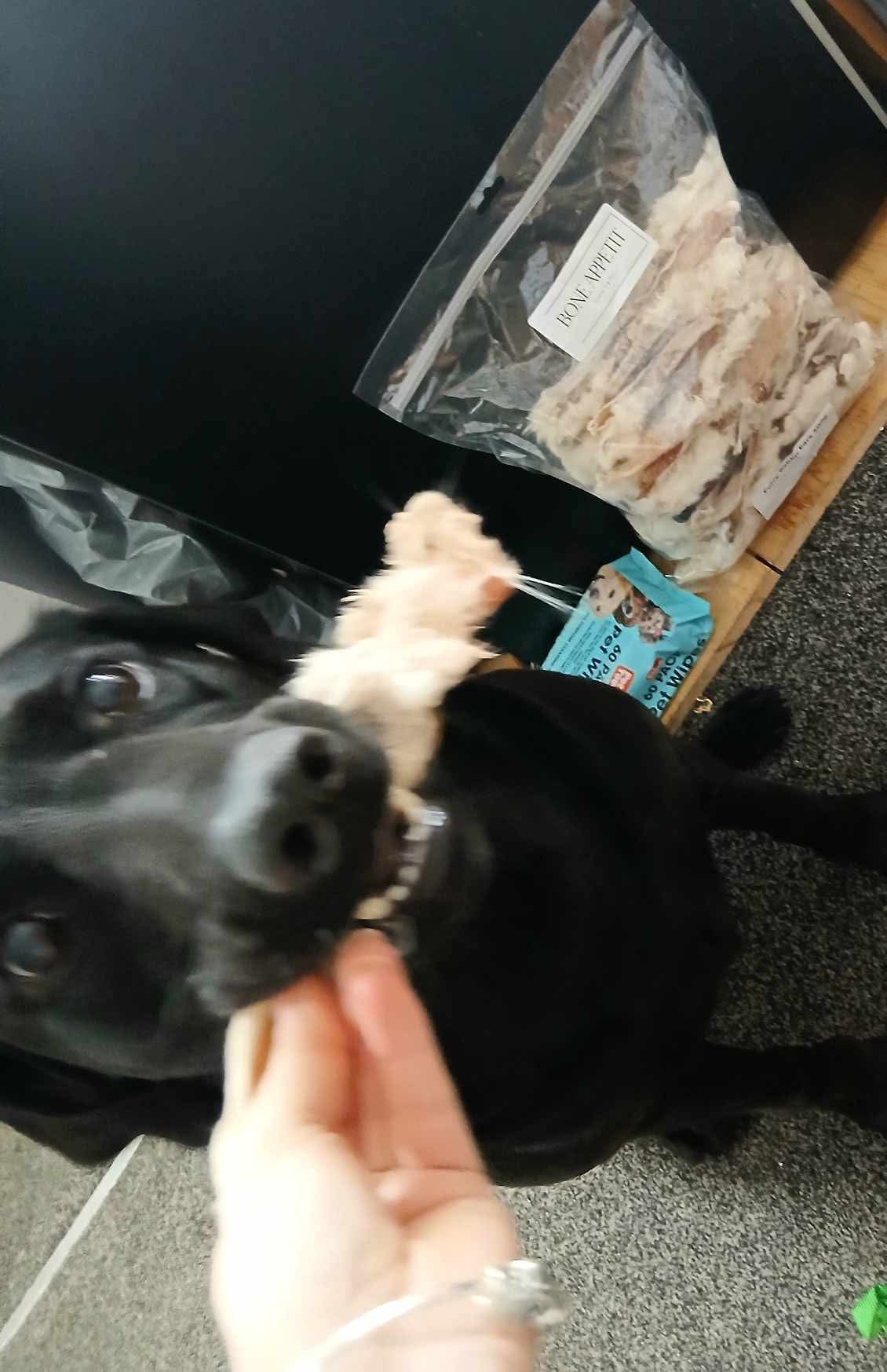 1kg Furry Rabbit Ears