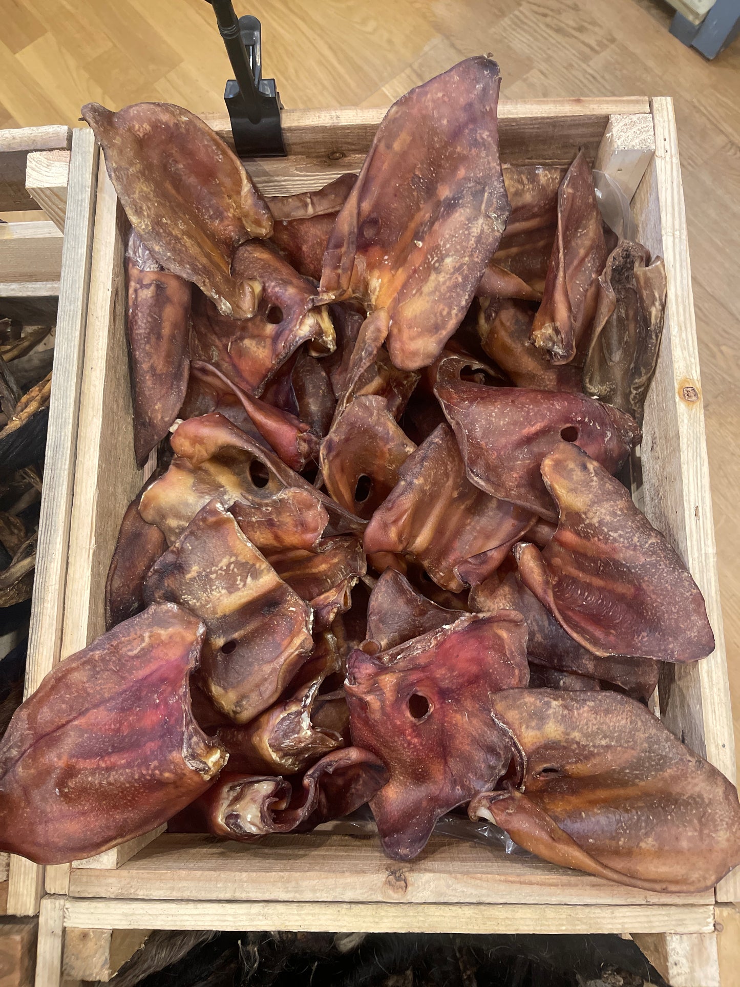 10 Premium Grade A Pigs Ears