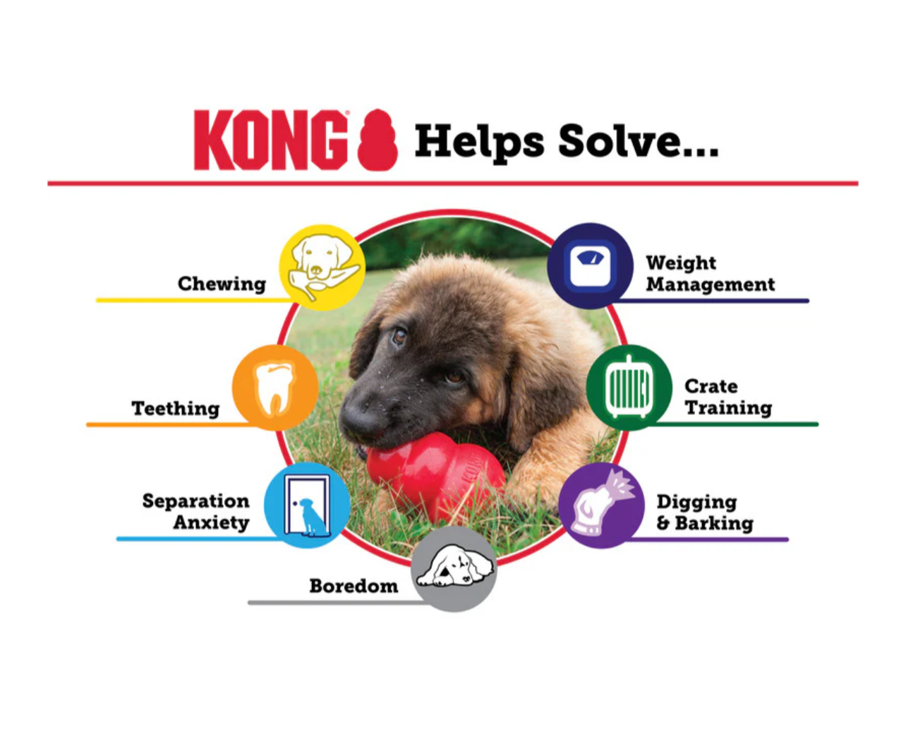 Kong Classic XXL