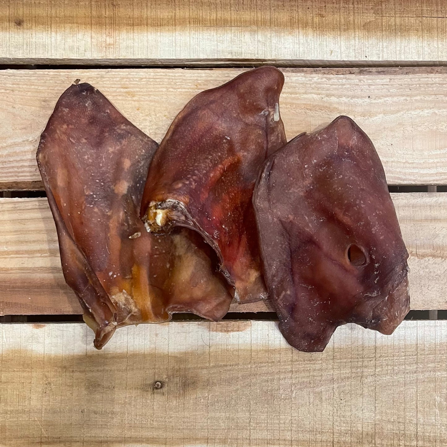10 Premium Grade A Pigs Ears